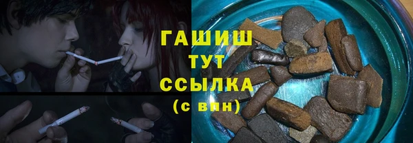 хмурый Бородино