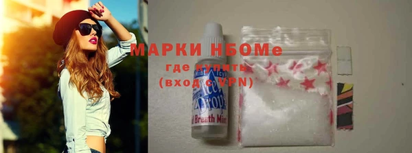 хмурый Бородино