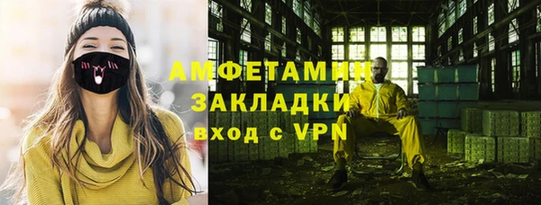 молекула духа Богородицк