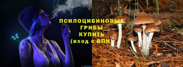 хмурый Бородино