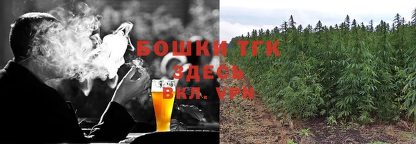 молекула духа Богородицк