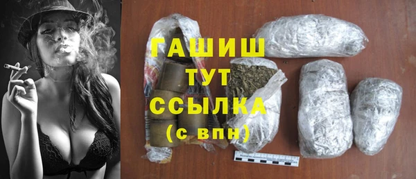 молекула духа Богородицк