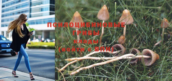 мяу мяу кристалл Богданович