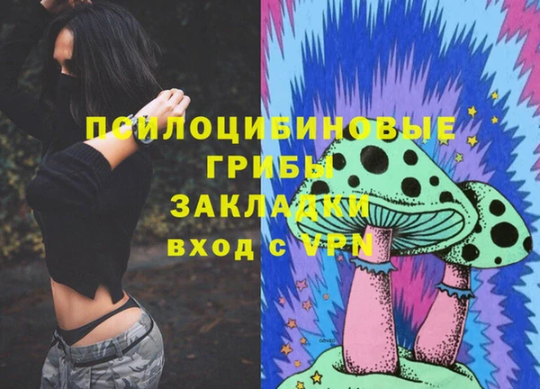 молекула духа Богородицк